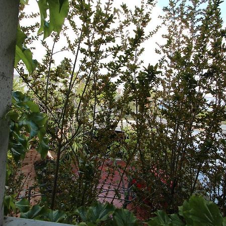 Paraiso Rooms Coliving Madrid Dış mekan fotoğraf