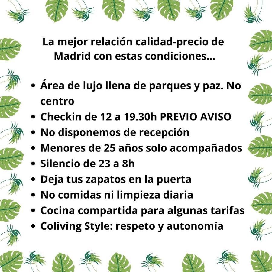 Paraiso Rooms Coliving Madrid Dış mekan fotoğraf